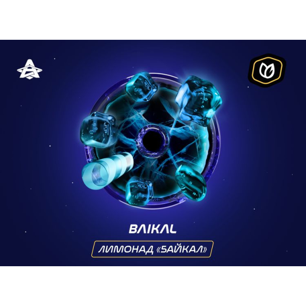 Паста Space Smoke Tobacco Baikal 30 гр в Нижнем Новгороде
