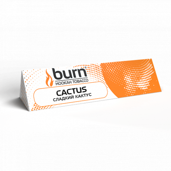 Табак BURN CACTUS 25 грамм в Нижнем Новгороде