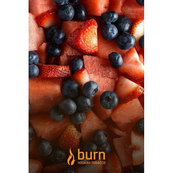 Табак Burn Berried Treasure 100 грамм в Нижнем Новгороде