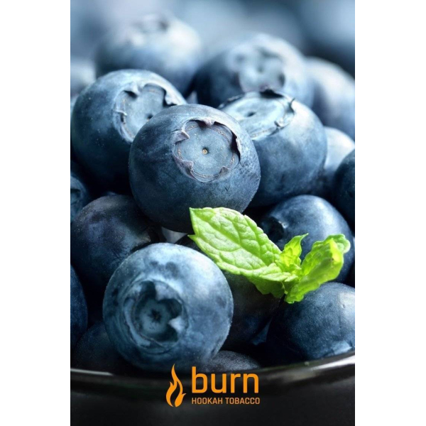 Табак Burn Blueberry Mint 100 грамм в Нижнем Новгороде