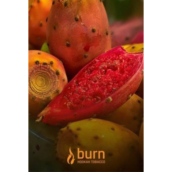 Табак Burn Cactus 100 грамм в Нижнем Новгороде