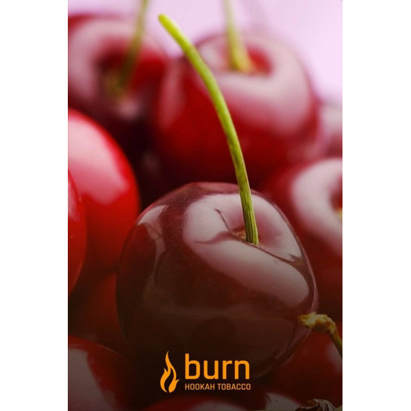 Табак Burn Candy Cherry 100 грамм в Нижнем Новгороде