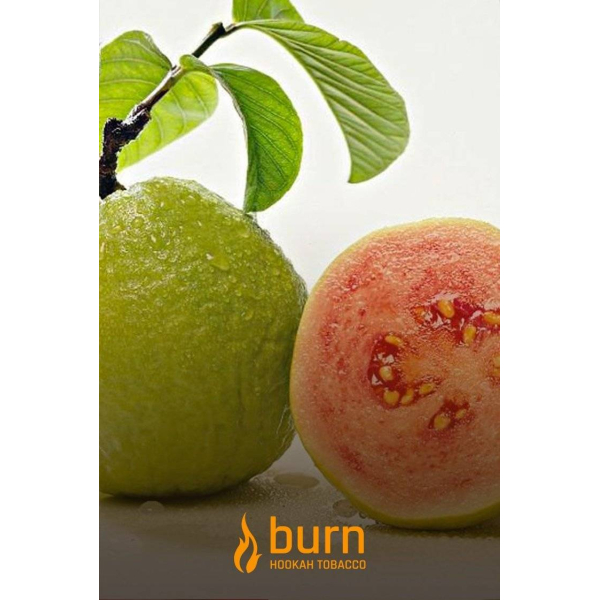 Табак Burn Guava 100 грамм в Нижнем Новгороде