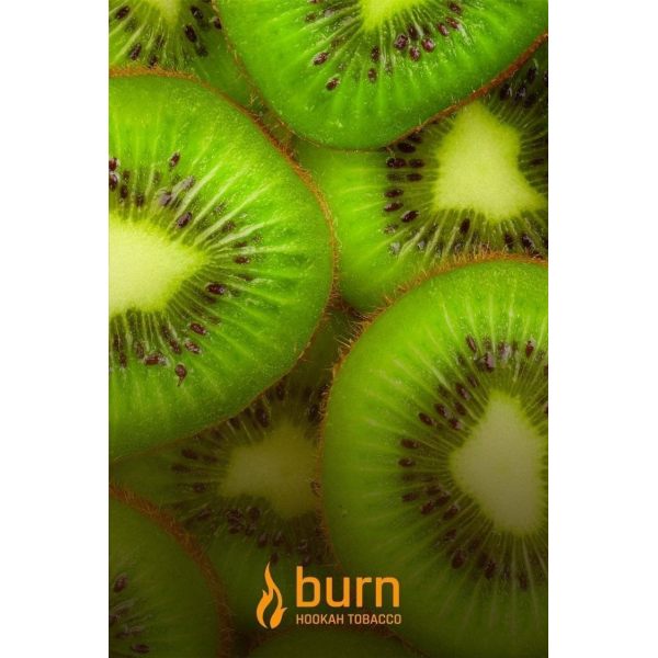 Табак Burn Kiwi 100 грамм в Нижнем Новгороде