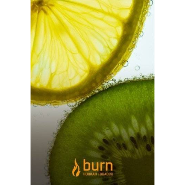 Табак Burn Kiwi Lemon 100 грамм в Нижнем Новгороде