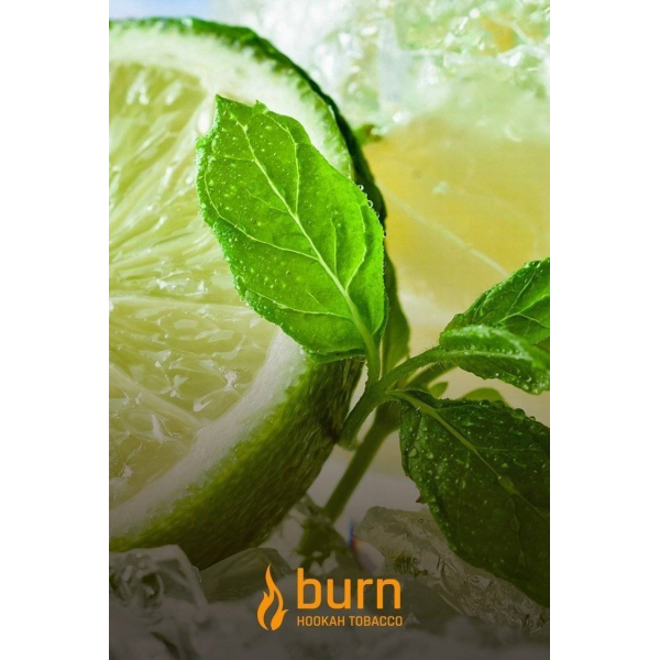 Табак Burn Lemon Mint 100 грамм в Нижнем Новгороде