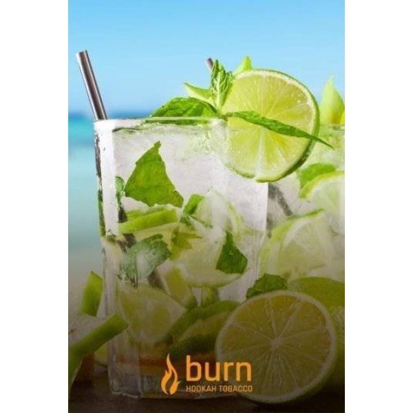 Табак Burn Mojito 100 грамм в Нижнем Новгороде