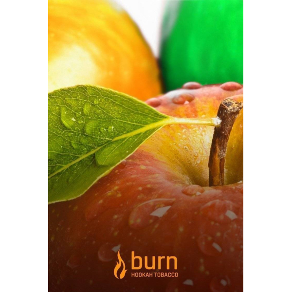 Табак Burn Three Apples 100 грамм в Нижнем Новгороде