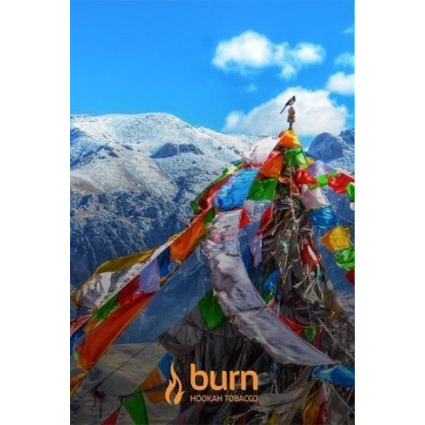 Табак Burn Tibet 100 грамм в Нижнем Новгороде