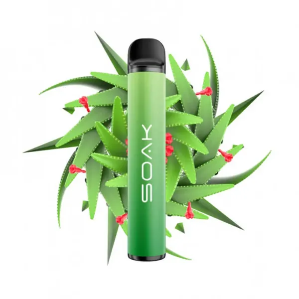 SOAK X Aloe Vera (Алое Вера), 1500 тяг в Нижнем Новгороде