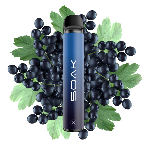SOAK X Forest Blackcurrant (Лесная черная смородина), 1500 тяг в Нижнем Новгороде