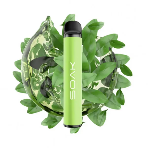 SOAK X Green Tea (Зеленый чай), 1500 тяг в Нижнем Новгороде