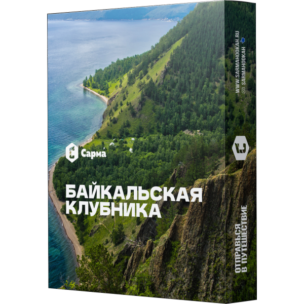 Табак Сарма Байкальская Клубника 25 гр в Нижнем Новгороде