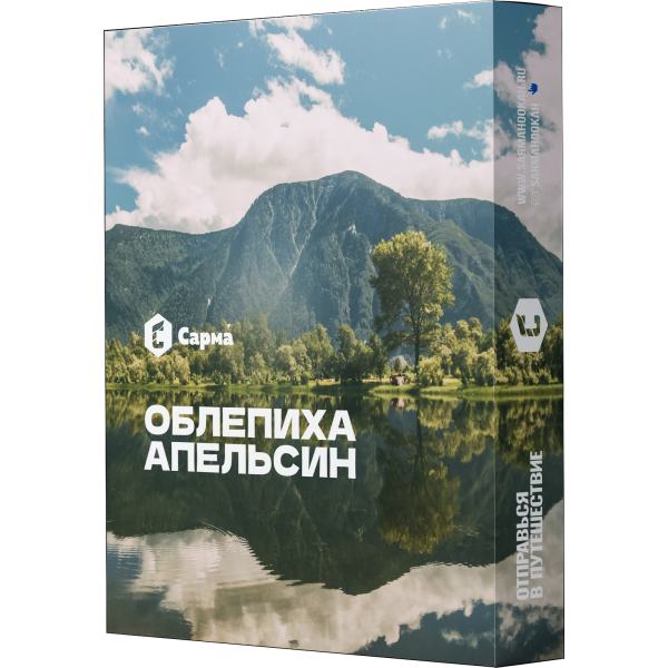 Табак Сарма Облепиха Апельсин 25 гр в Нижнем Новгороде