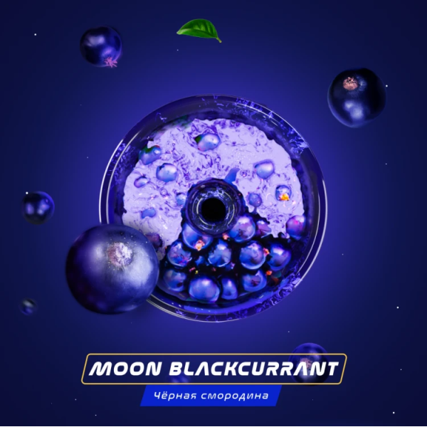 Паста Space Smoke BASIC Moon  Blackcurrant (Черная  смородина) 125 гр в Нижнем Новгороде