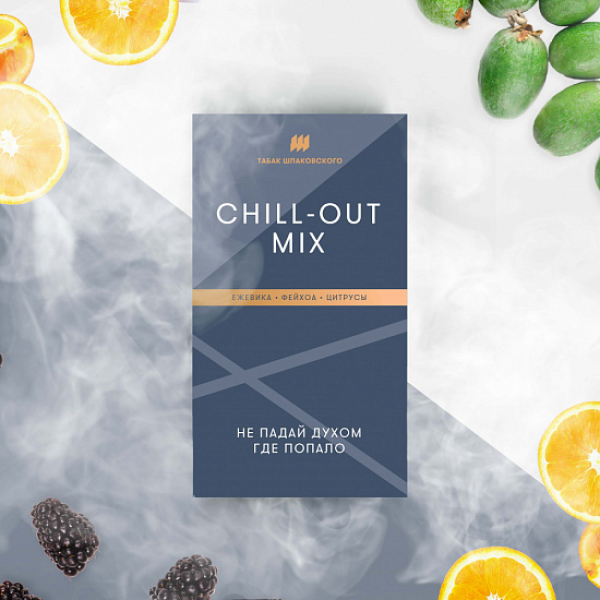 Табак Шпаковского Chill Out (Ежевика Фейхоа Цитрусы) 40 грамм в Нижнем Новгороде