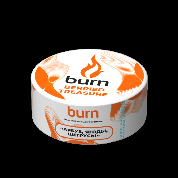 Табак Burn Berried Treasure  25 грамм в Нижнем Новгороде