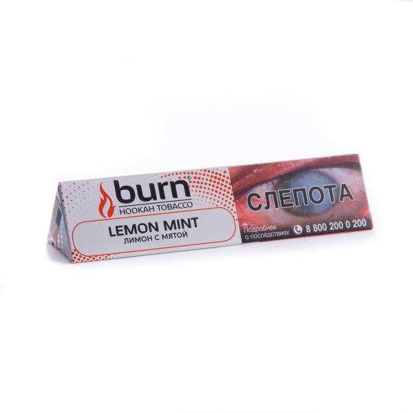 Табак Burn Lemon Mint  25 грамм в Нижнем Новгороде