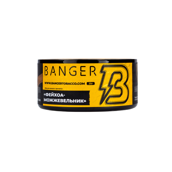 Табак Banger Evergreen 25 грамм в Нижнем Новгороде